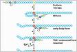 Proprotein convertase furin is a driver and potential therapeutic